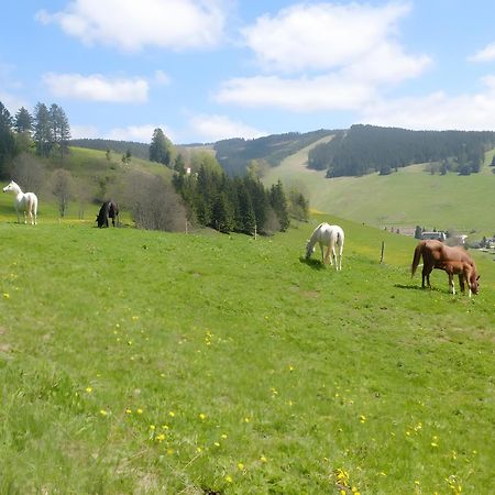 Ferienwohnung Bergahorn Todtnauberg Bagian luar foto