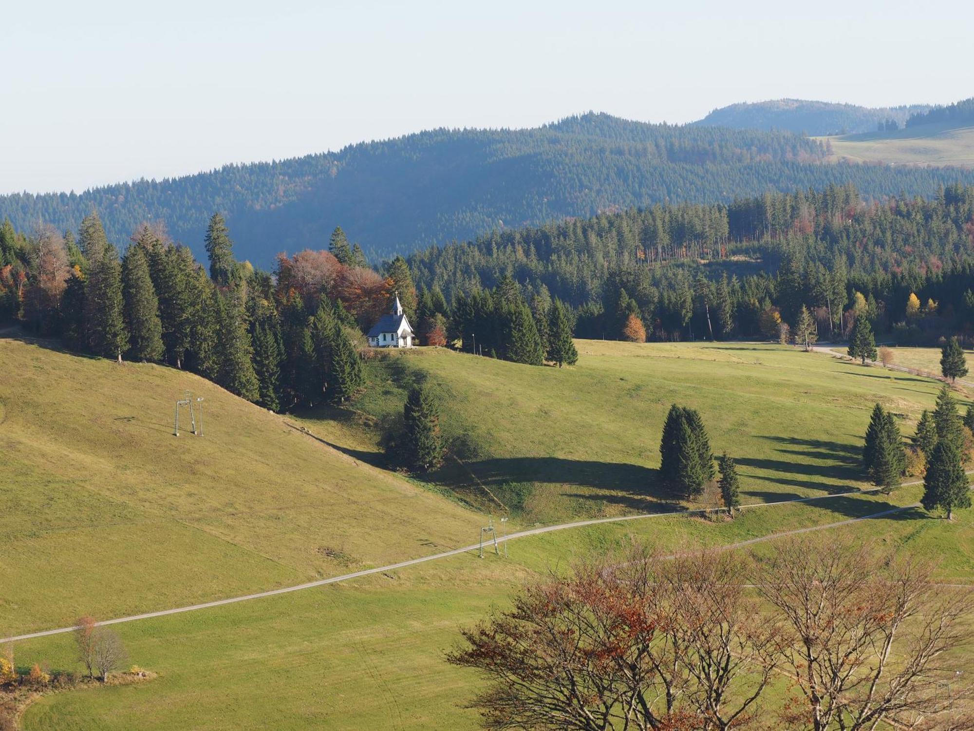 Ferienwohnung Bergahorn Todtnauberg Bagian luar foto
